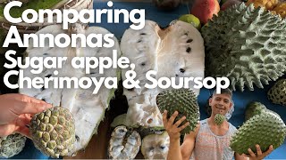 Soursop vs Custard Apple: Tropical Fruit Face-Off