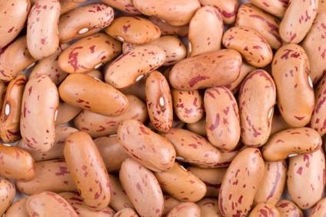 Pinto Bean vs Kidney Bean: Exploring Bean Varieties