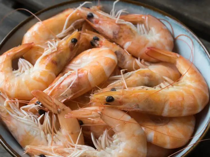 How to Tell If Shrimp Is Bad: Detecting Spoilage